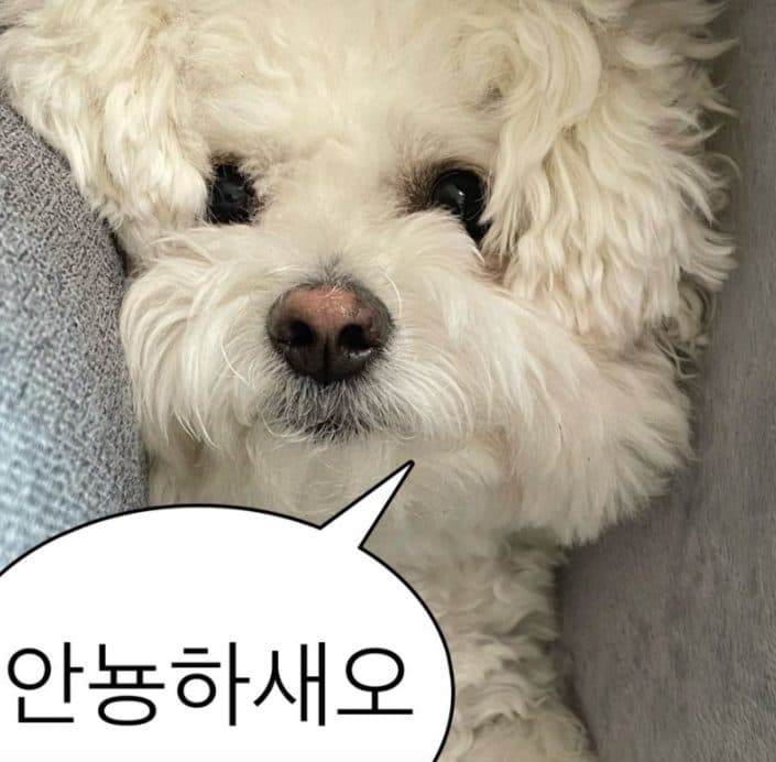 KT 프리미엄 싱글결합 케이티 할인에 대해 알아볼께욤