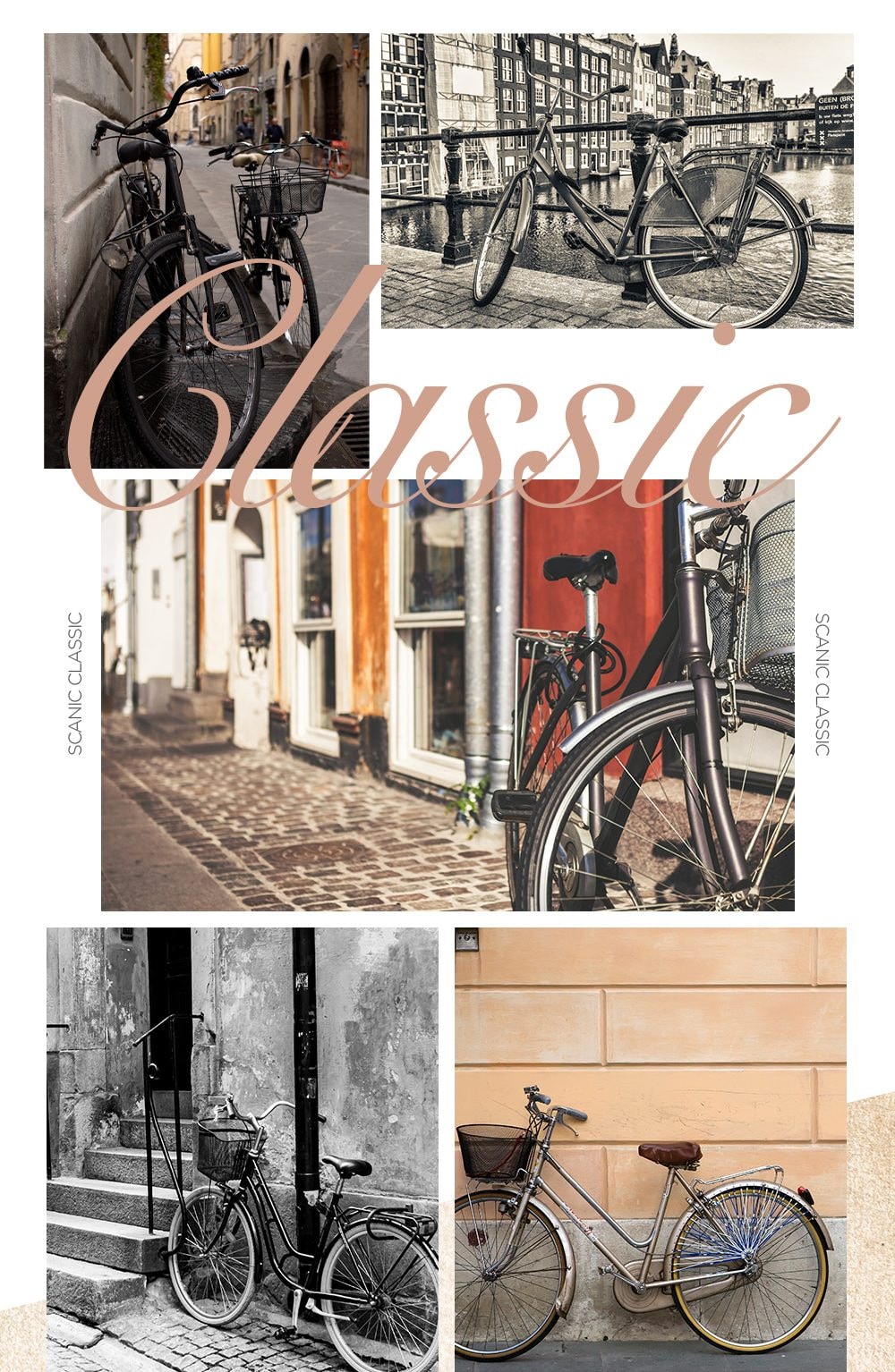 스카닉 Classic 36V 상세