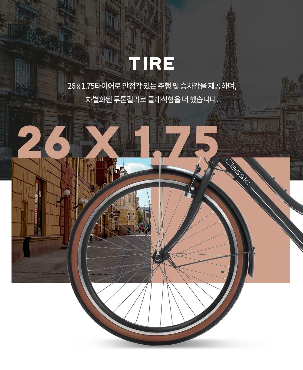 스카닉 Classic 36V 상세