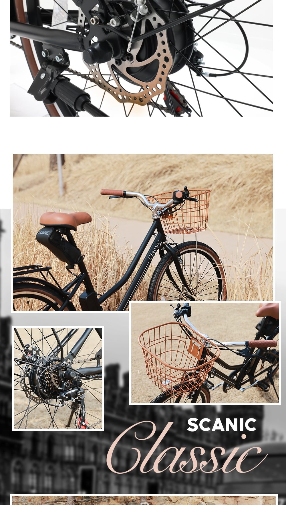 스카닉 Classic 36V 상세