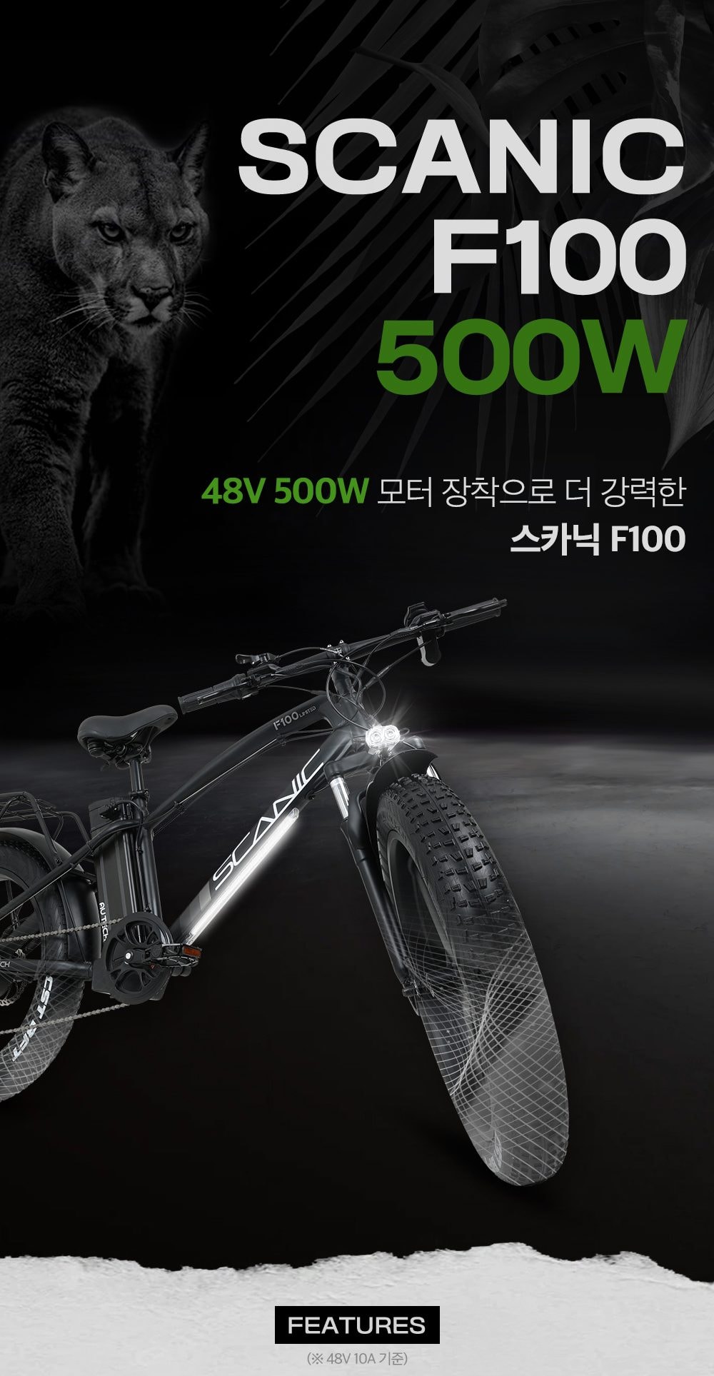 스카닉 F100 상세