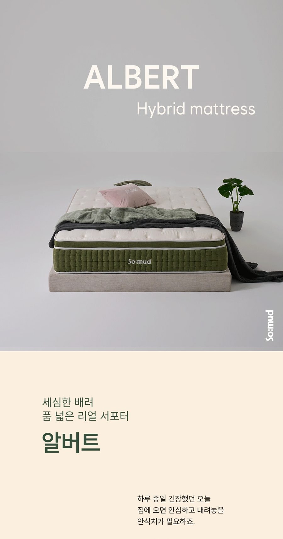 알버트 하이브리드 매트리스 킹 K 상세