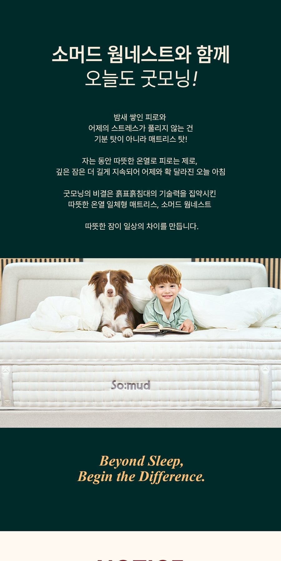 드림 흙 온열 매트리스 퀸 Q 상세