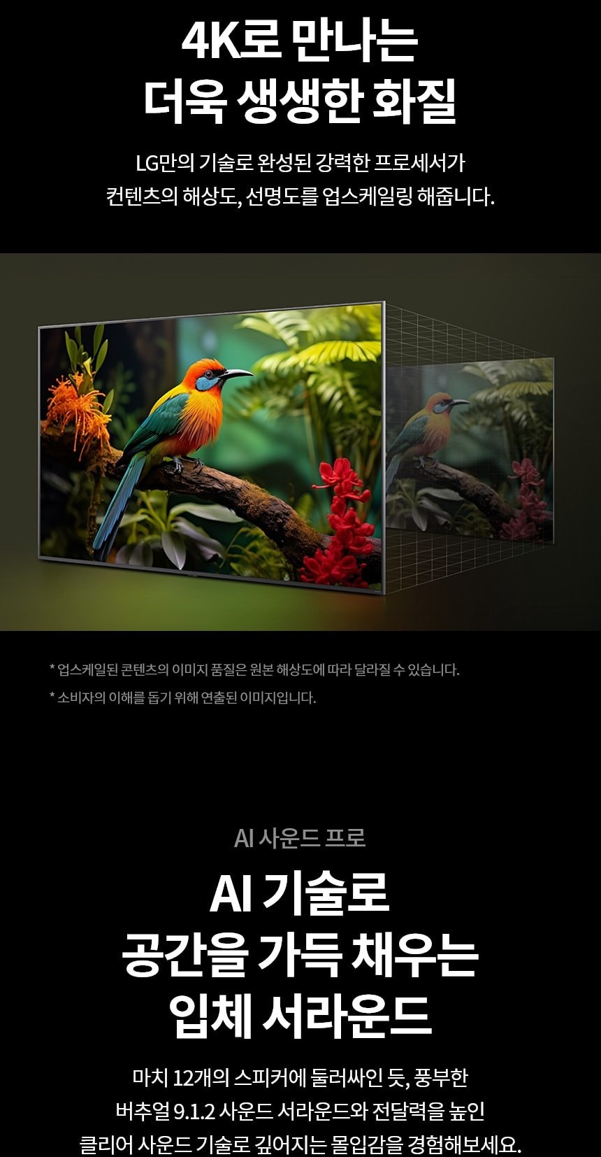 LG 나노셀 AI 상세