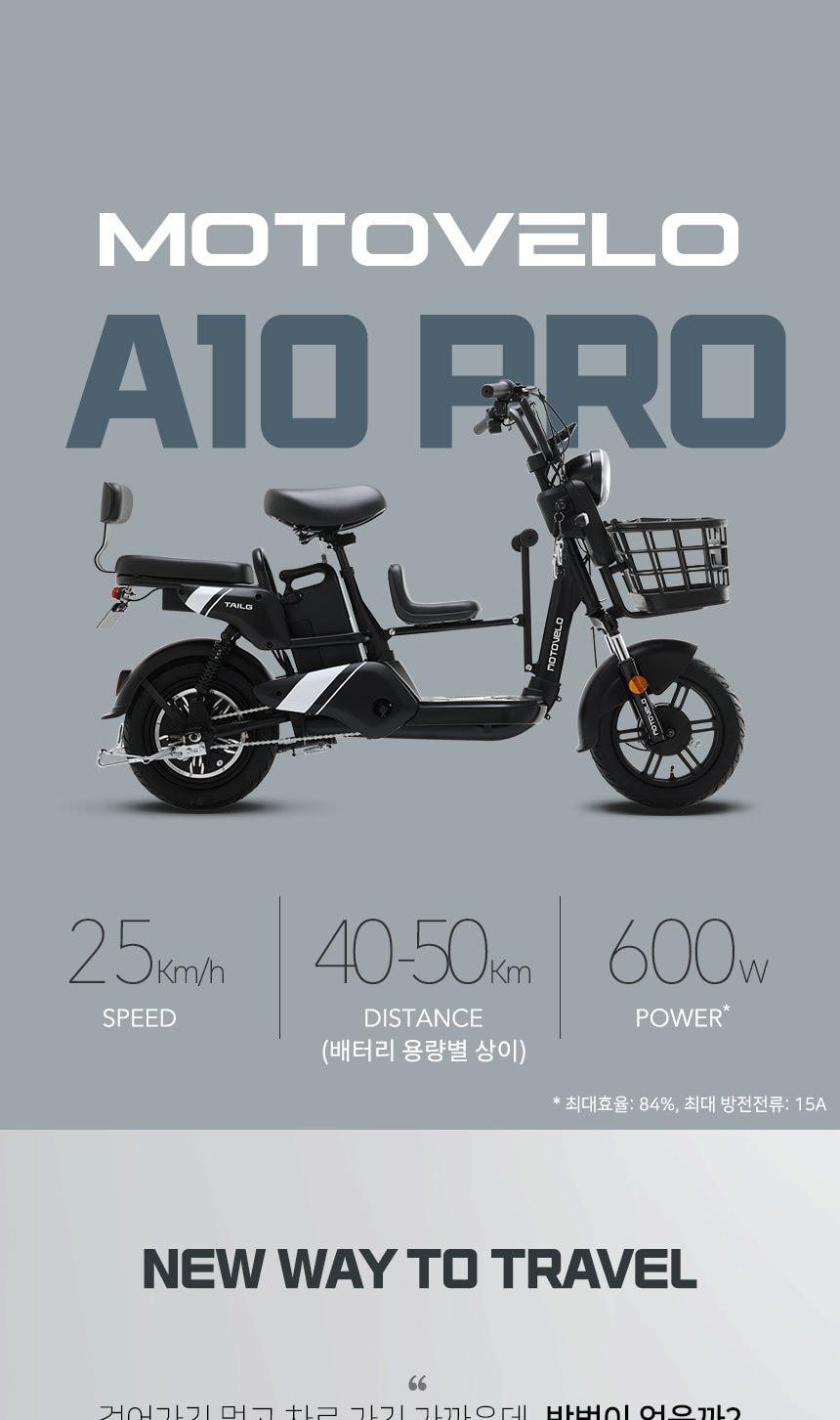 전기자전거 A10 프로 15Ah 듀얼 상세