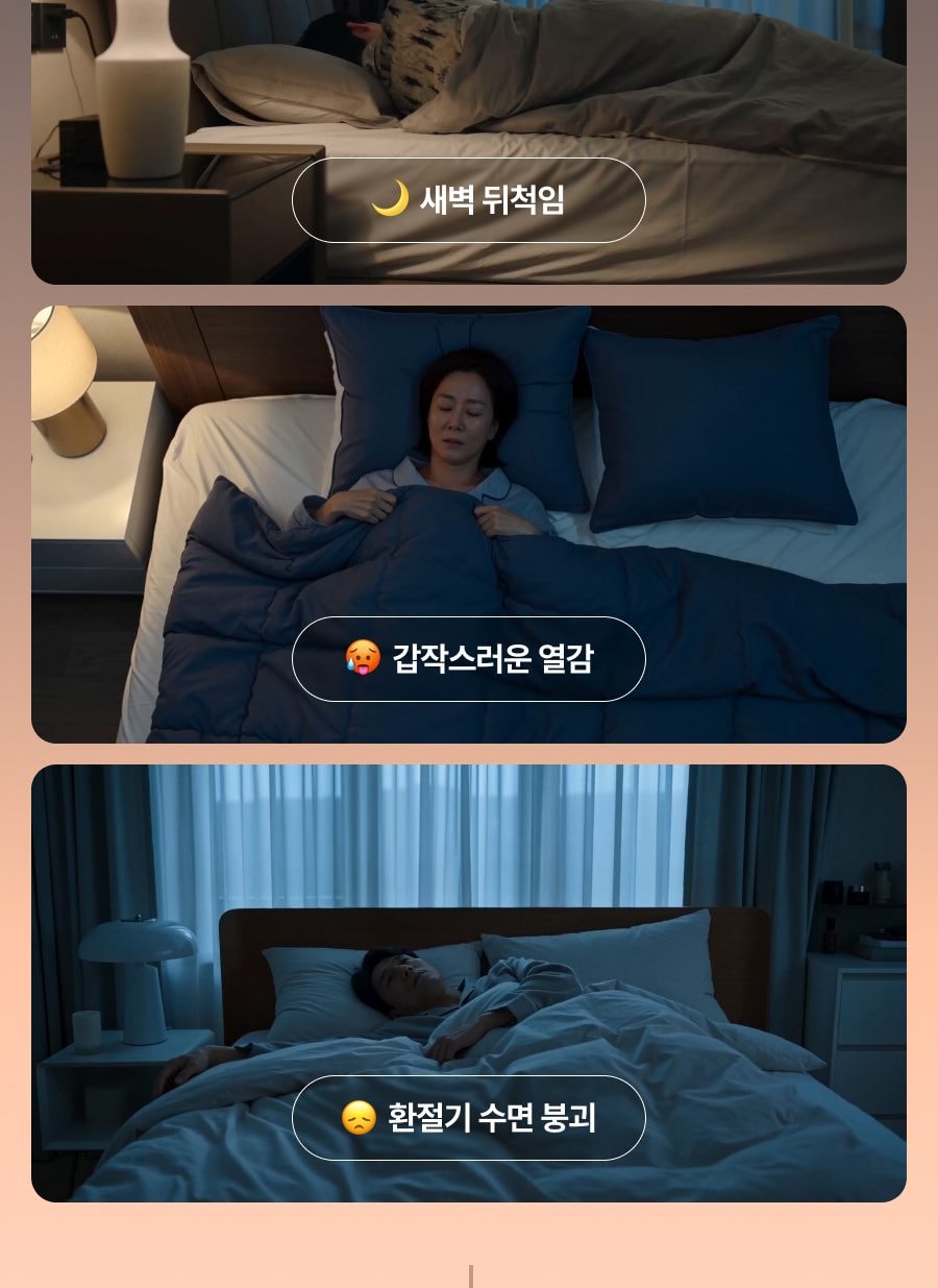 나비엔 숙면매트 사계절 Pro (퀸) 상세