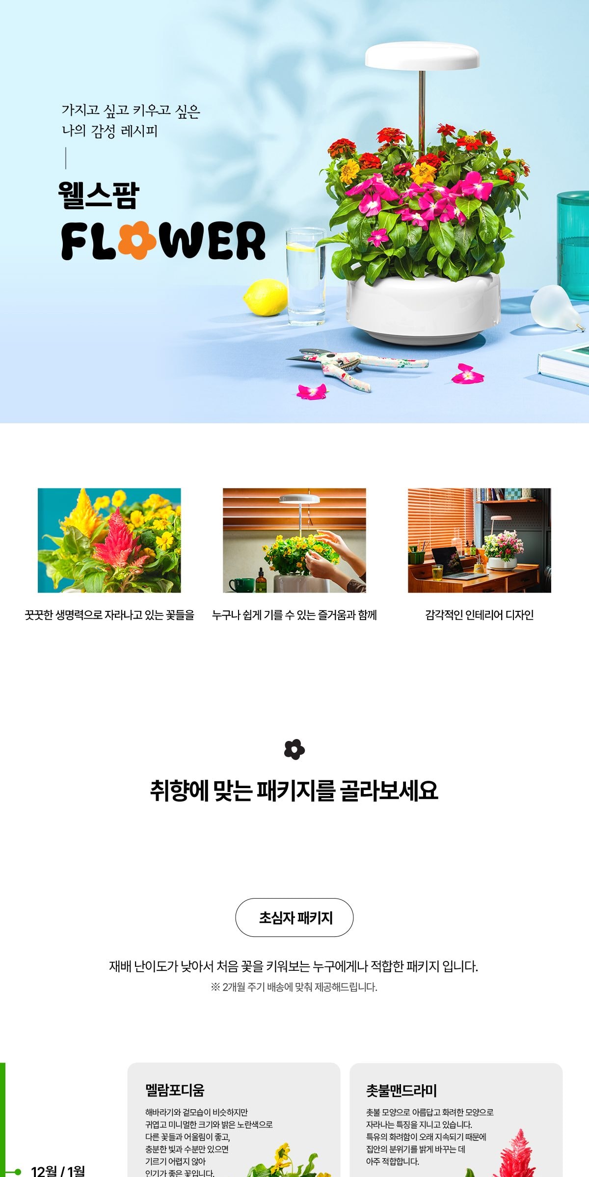 웰스 웰스팜 플라워 꽃재배기 정기구독 서비스 상세