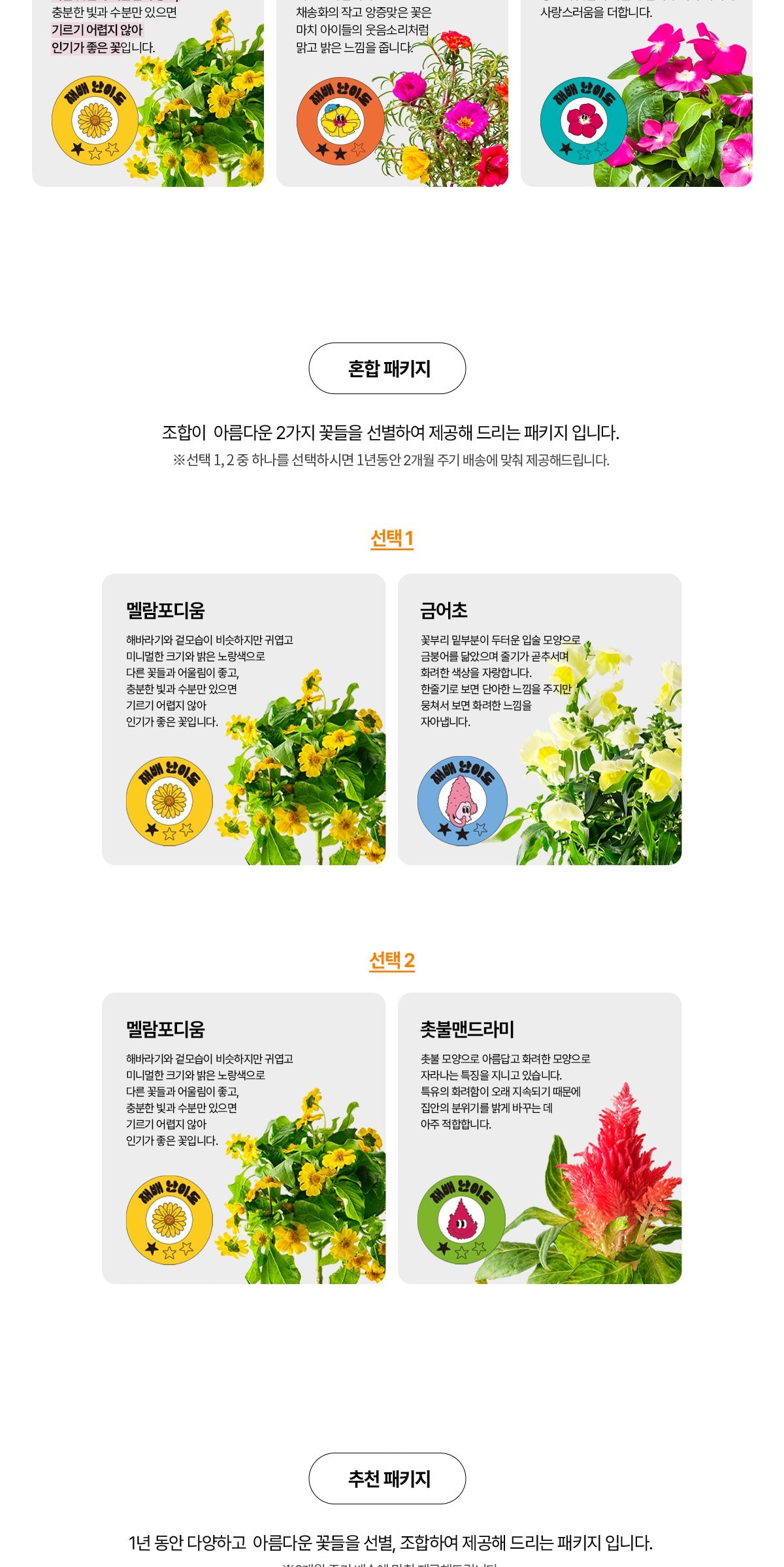 웰스 웰스팜 플라워 꽃재배기 정기구독 서비스 상세