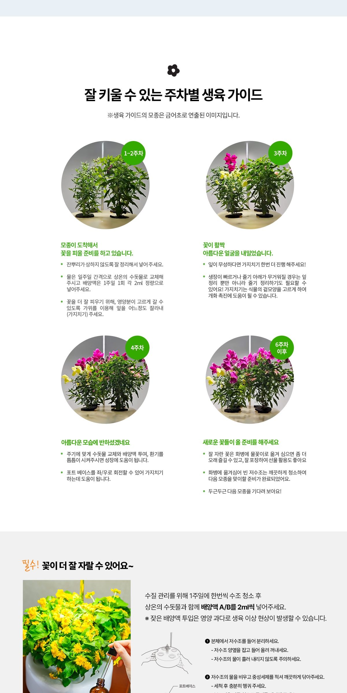 웰스 웰스팜 플라워 꽃재배기 정기구독 서비스 상세
