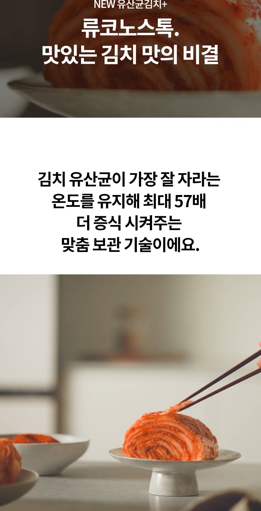 LG 디오스 오브제컬렉션 김치톡톡 217L 상세