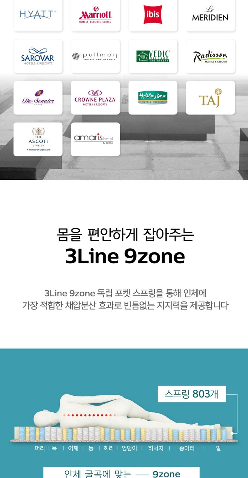 스프링에어 네이처 퀸 상세