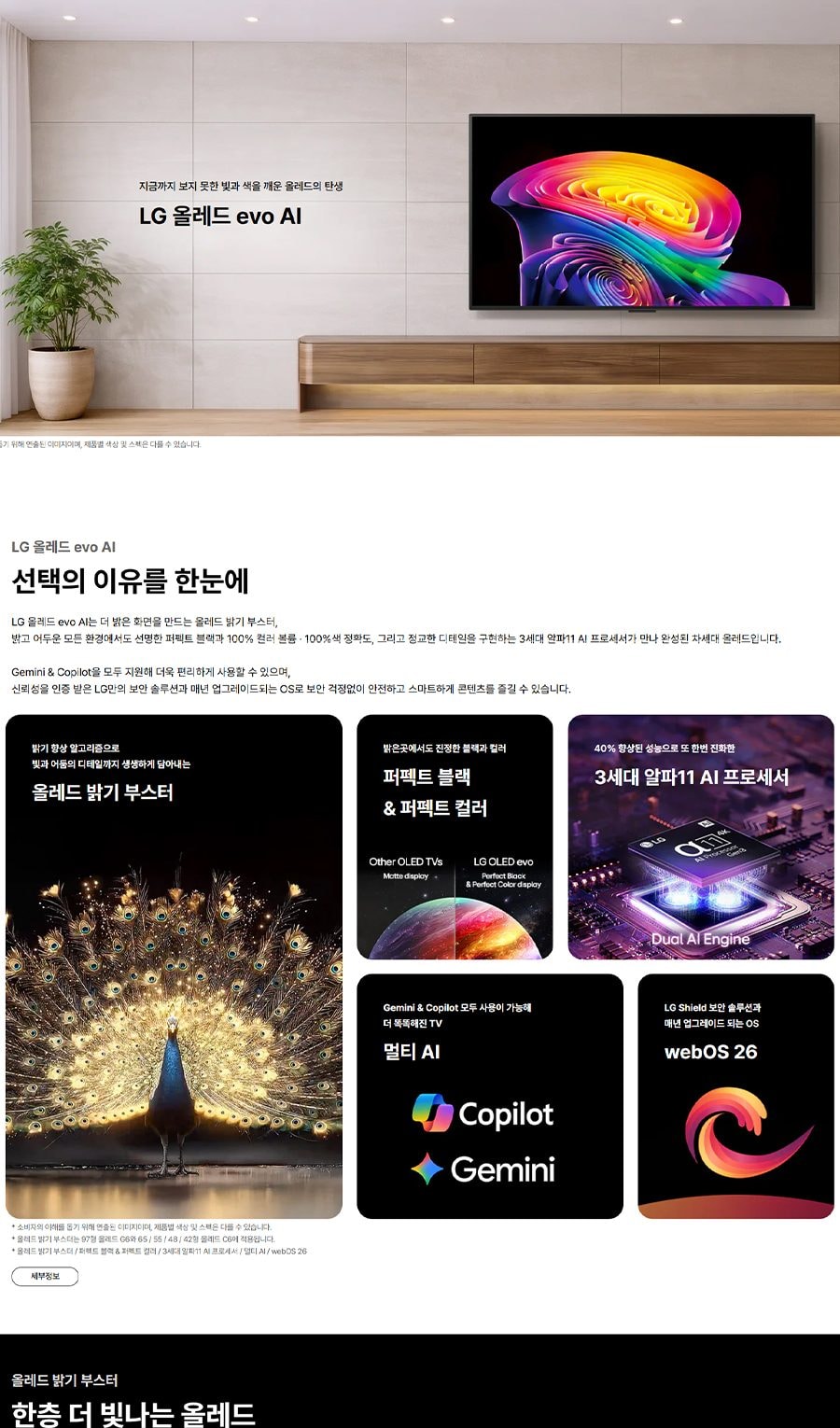 LG 올레드 evo AI 상세