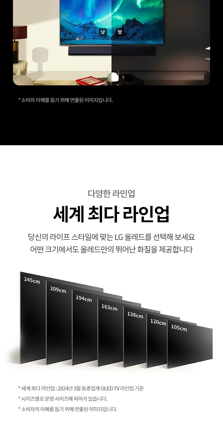 LG 올레드 TV 65인치 상세