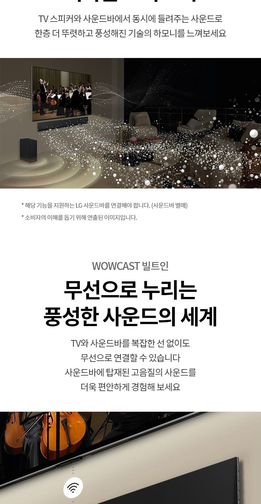 LG 올레드 TV 65인치 상세