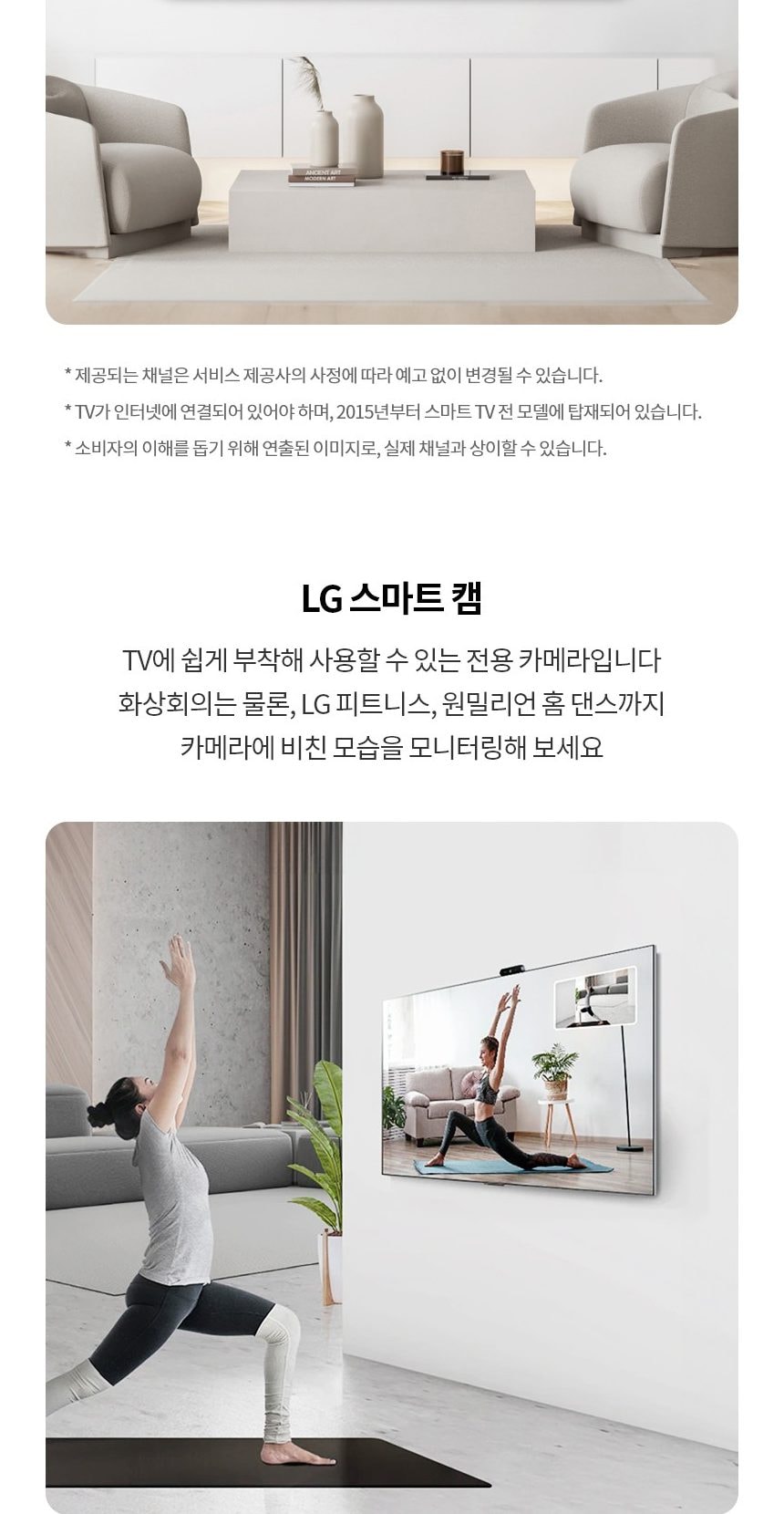 LG 올레드 TV 65인치 상세
