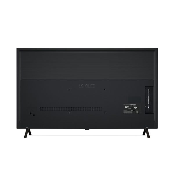 LG 올레드 TV 65인치
