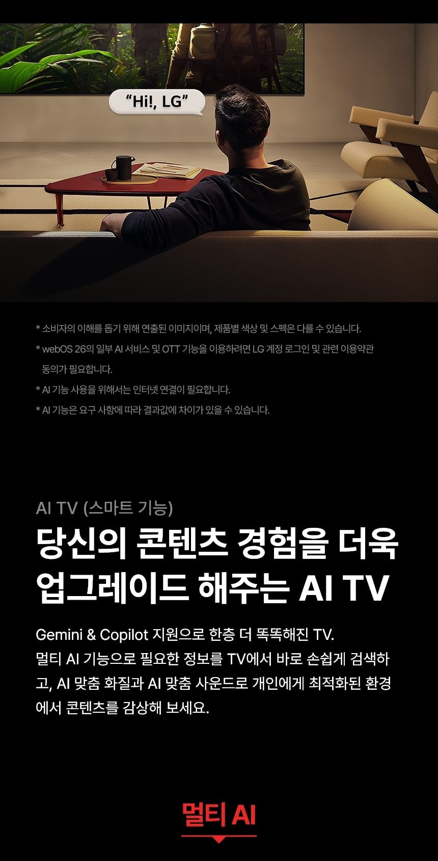 LG 올레드 evo AI (벽걸이/스탠드형) C6 163cm 상세