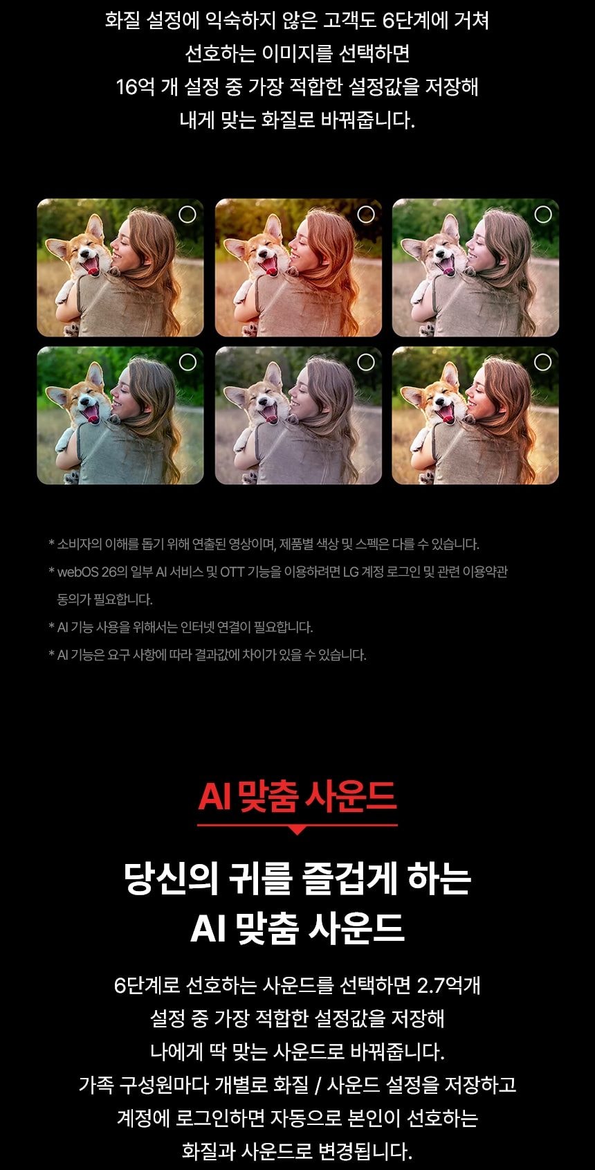 LG 올레드 evo AI (벽걸이/스탠드형) C6 163cm 상세