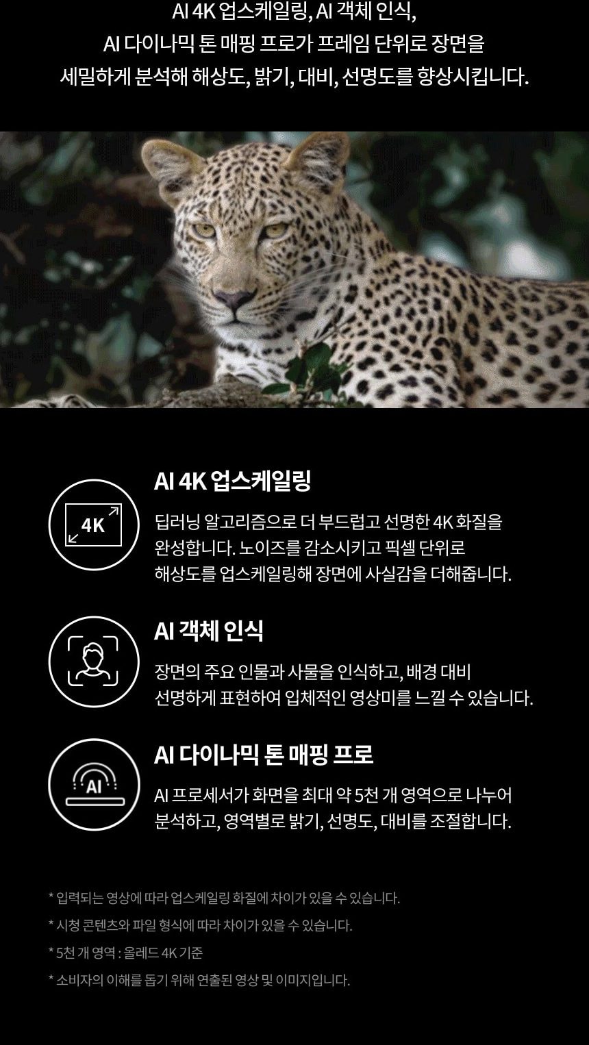 LG 올레드 C5 83인치 상세