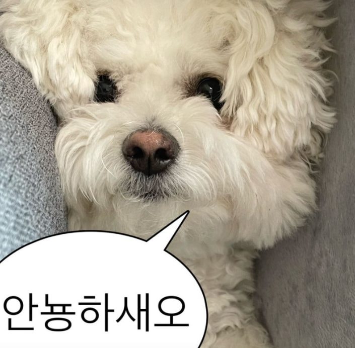 KT 프리미엄 싱글결합 케이티 할인에 대해 알아볼께욤