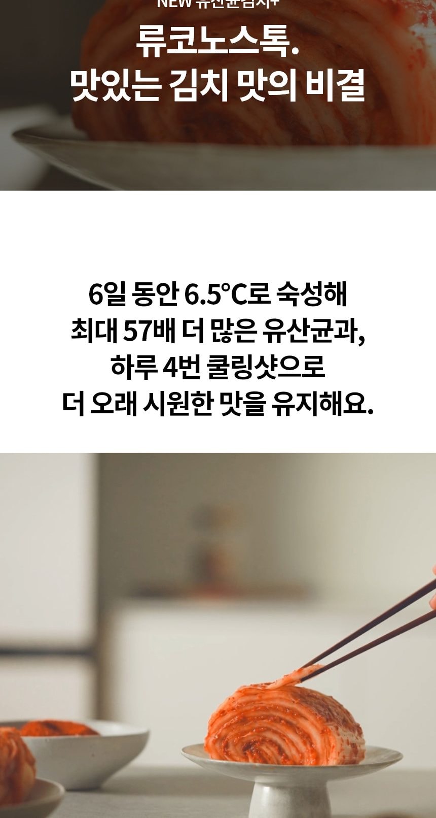 LG 디오스 오브제컬렉션 김치톡톡 Fit & Max 480L 상세