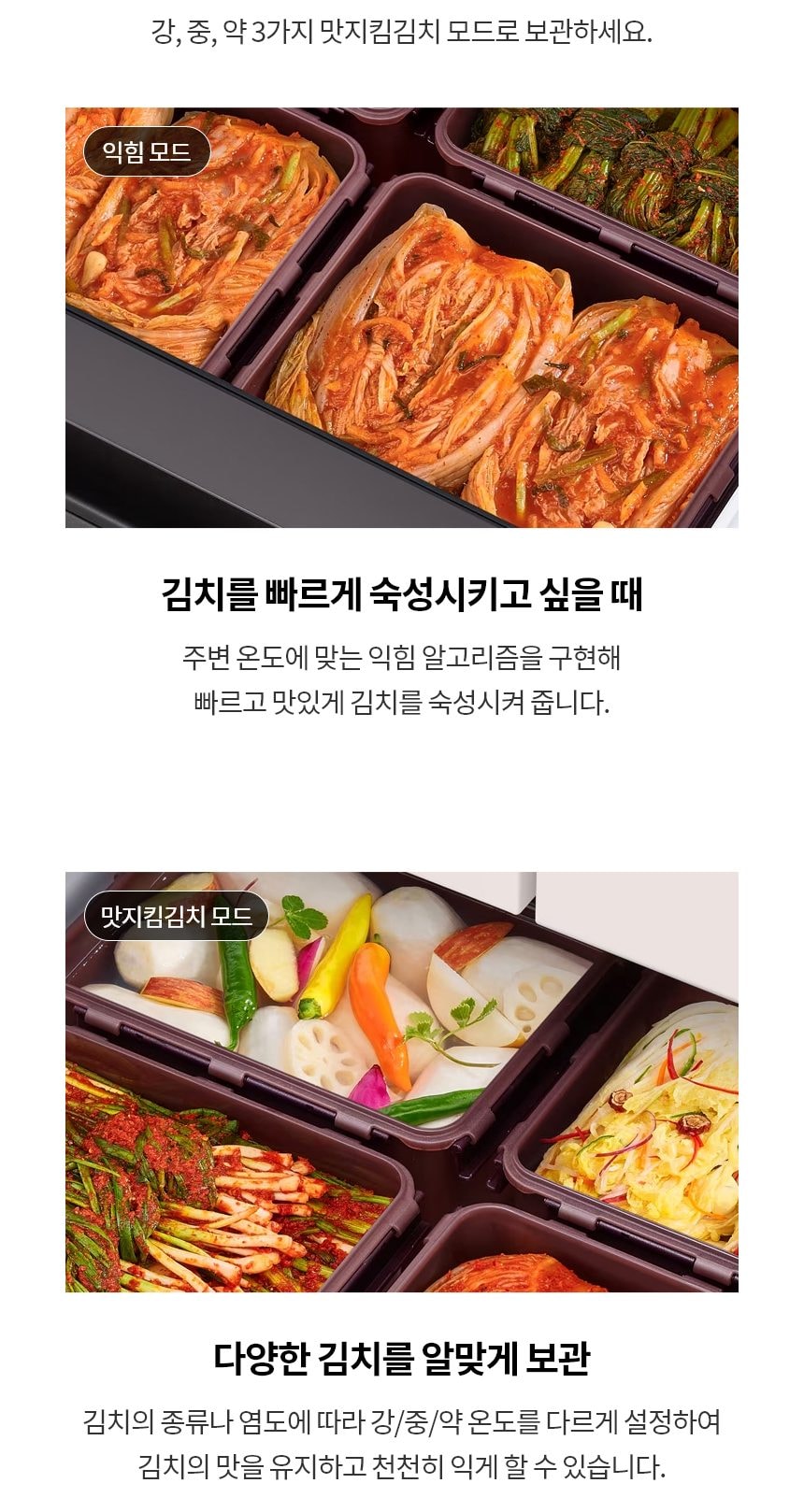 LG 디오스 오브제컬렉션 김치톡톡 505L 상세