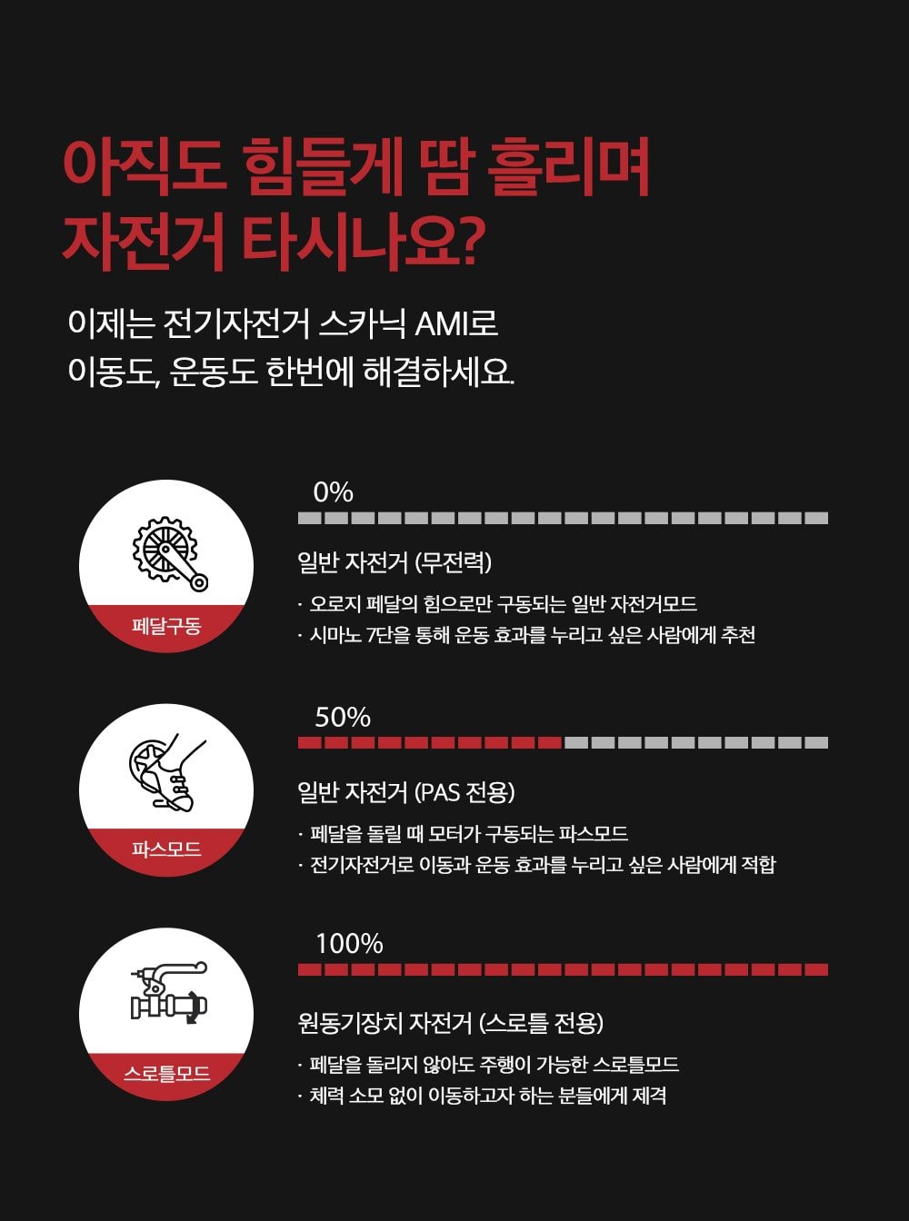 스카닉 AMI 48V 상세