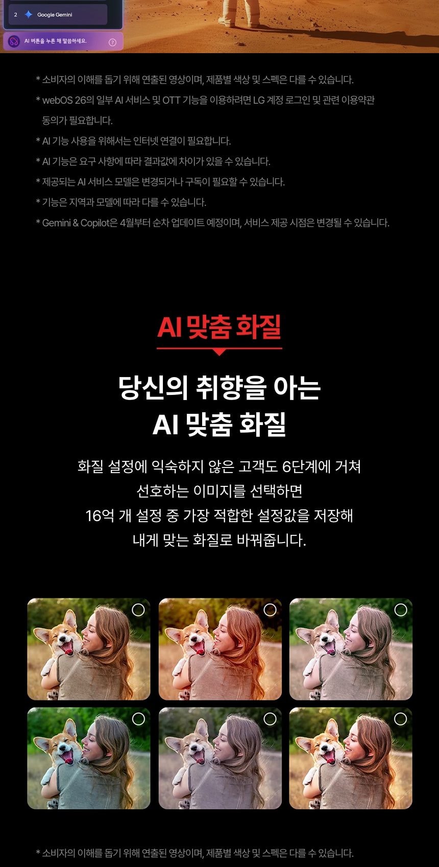 LG QNED AI 214cm 상세