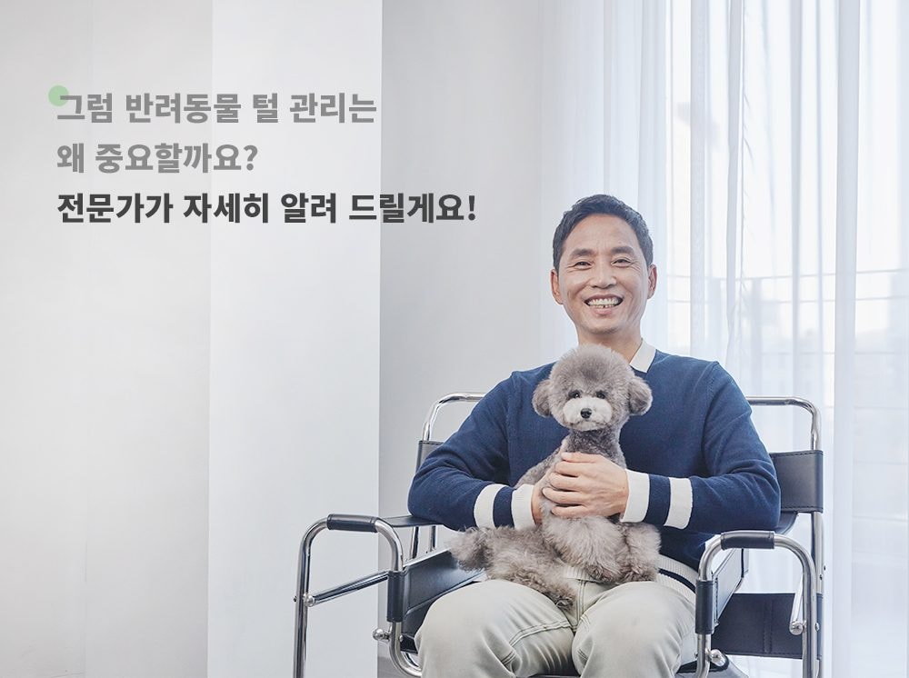펫 이미용기 상세