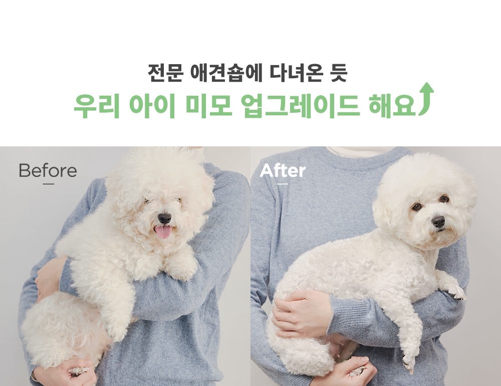펫 이미용기 상세