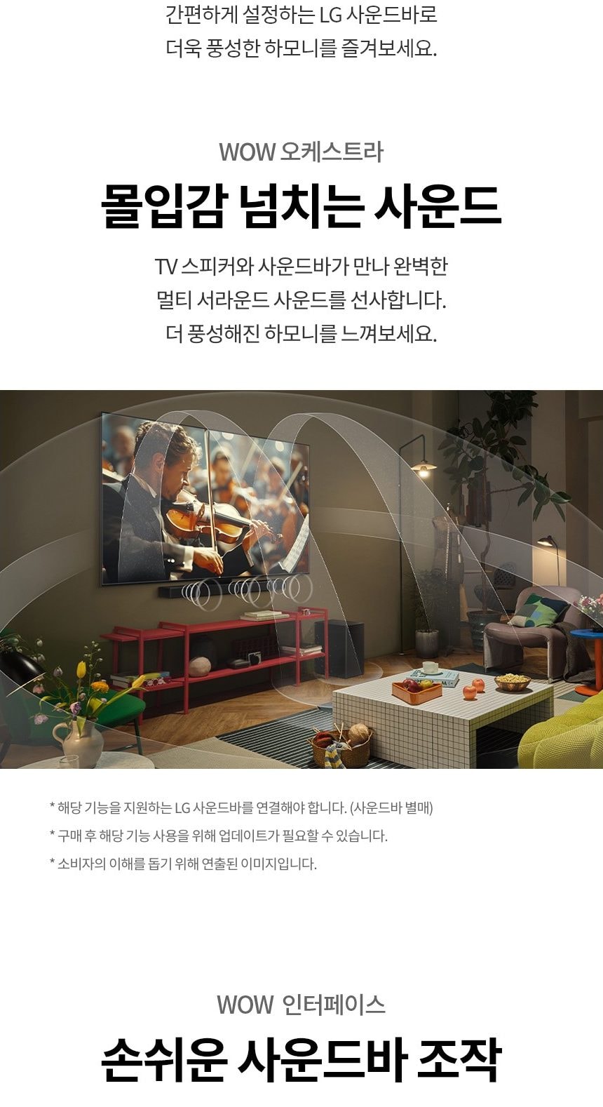 LG 올레드 evo C5 55인치 상세