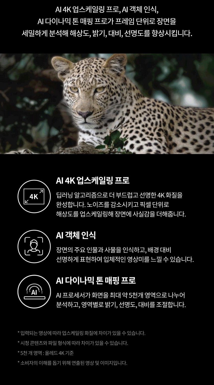 LG 올레드 evo G5 65인치 상세